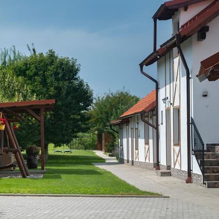 Hotel Magda Garden Cîrţişoara Exterior foto