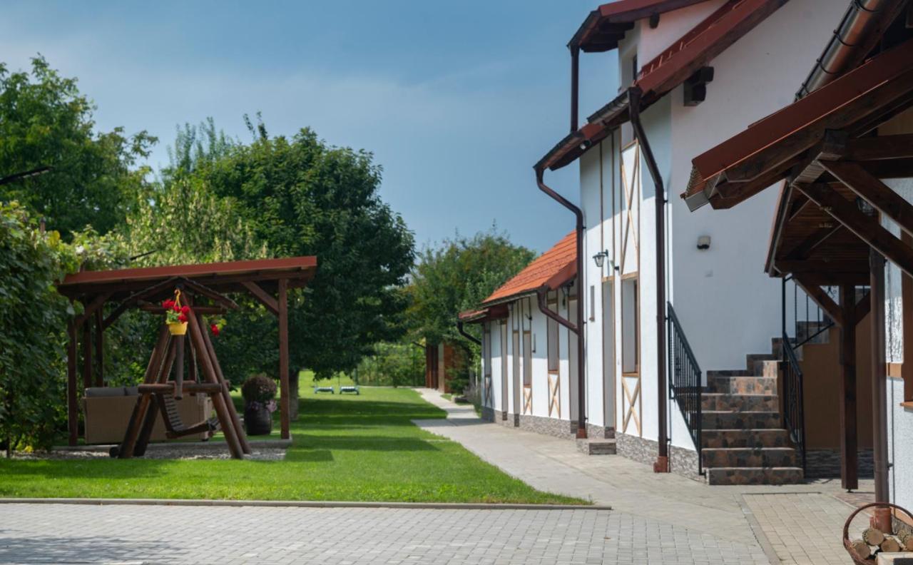 Hotel Magda Garden Cîrţişoara Exterior foto