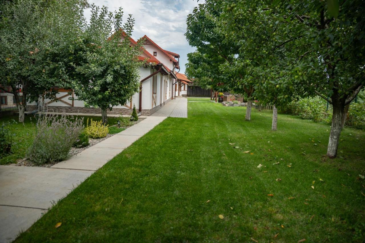 Hotel Magda Garden Cîrţişoara Exterior foto