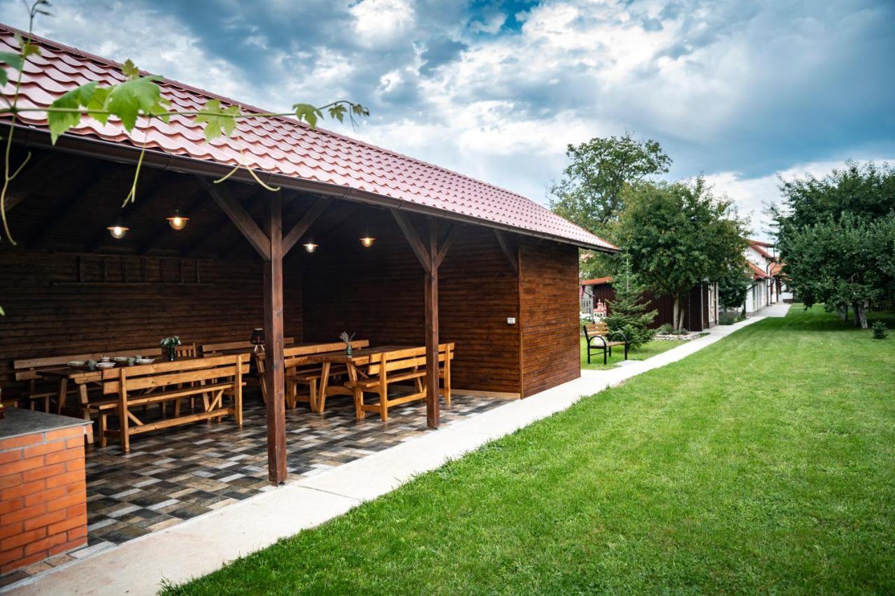 Hotel Magda Garden Cîrţişoara Exterior foto