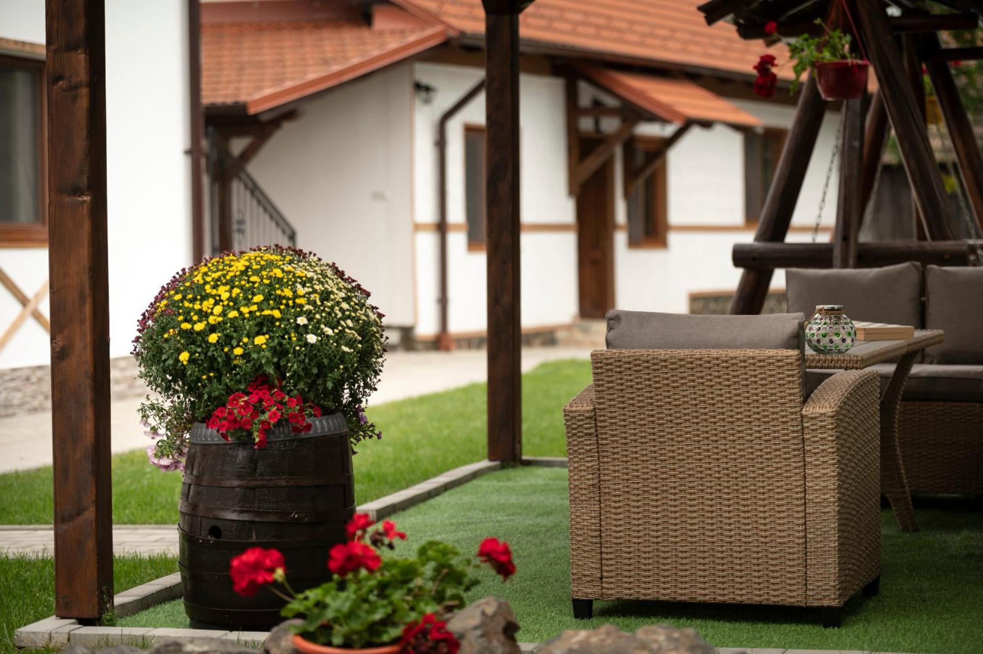Hotel Magda Garden Cîrţişoara Exterior foto