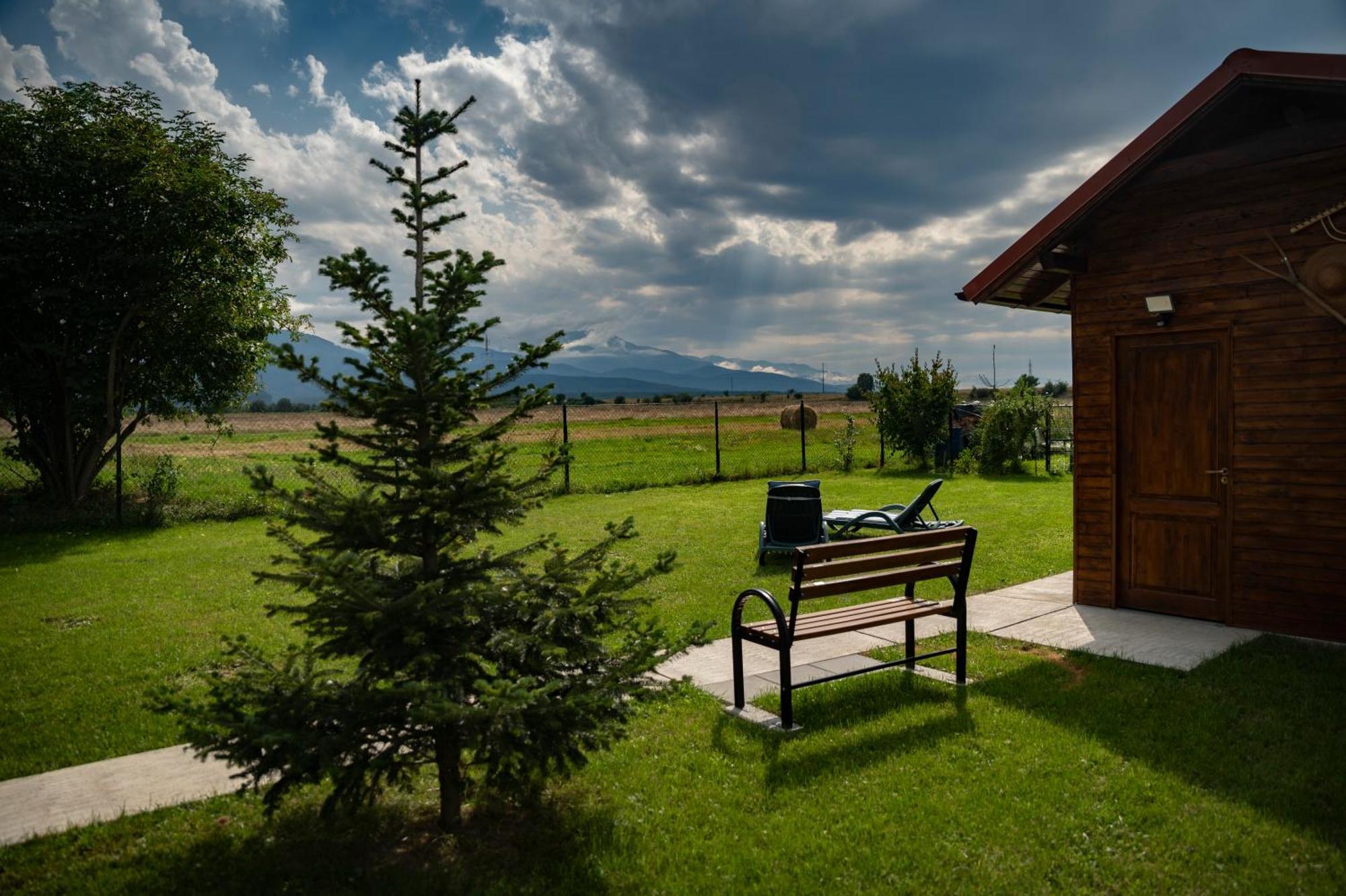 Hotel Magda Garden Cîrţişoara Exterior foto